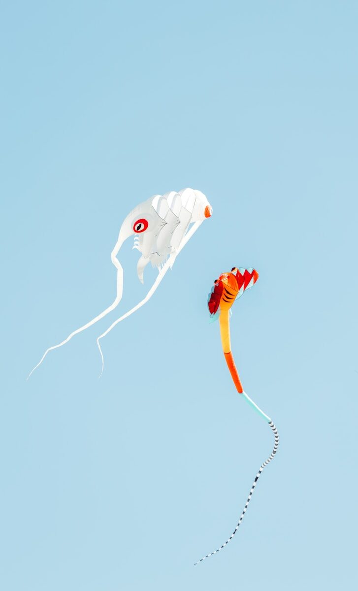 Revocation for Gross Negligence or Misconduct